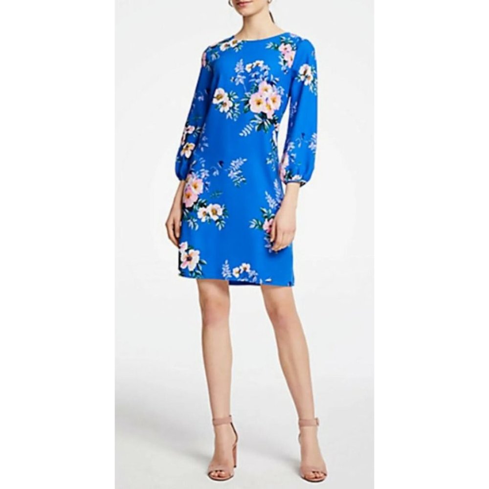 Ann Taylor Dress 4P Poppy Lantern Seashore Blue NEW Washable